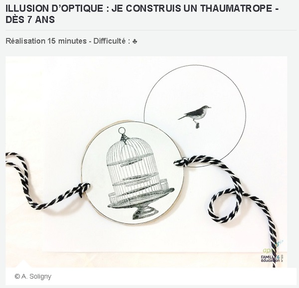 Thaumatrope